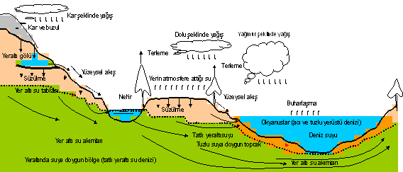 Tarihte Yağmur Suyu Deşarj Sistemleri - 1
